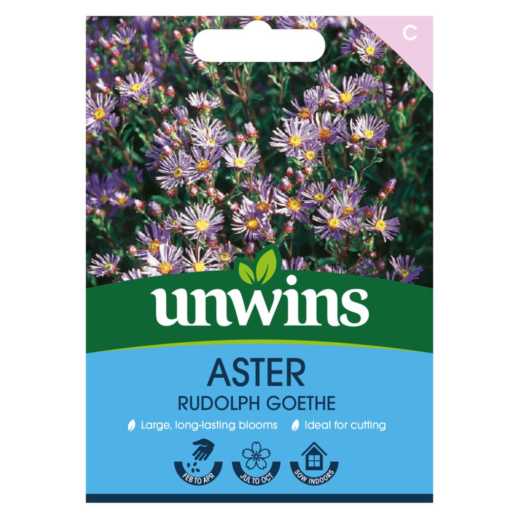 Unwins Aster Rudolph Goethe Seeds 5051618019286 2